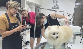 Курс по грумингу "Базовый+" с 05.08.2024 по 17.08.2024 - 2 (preview)